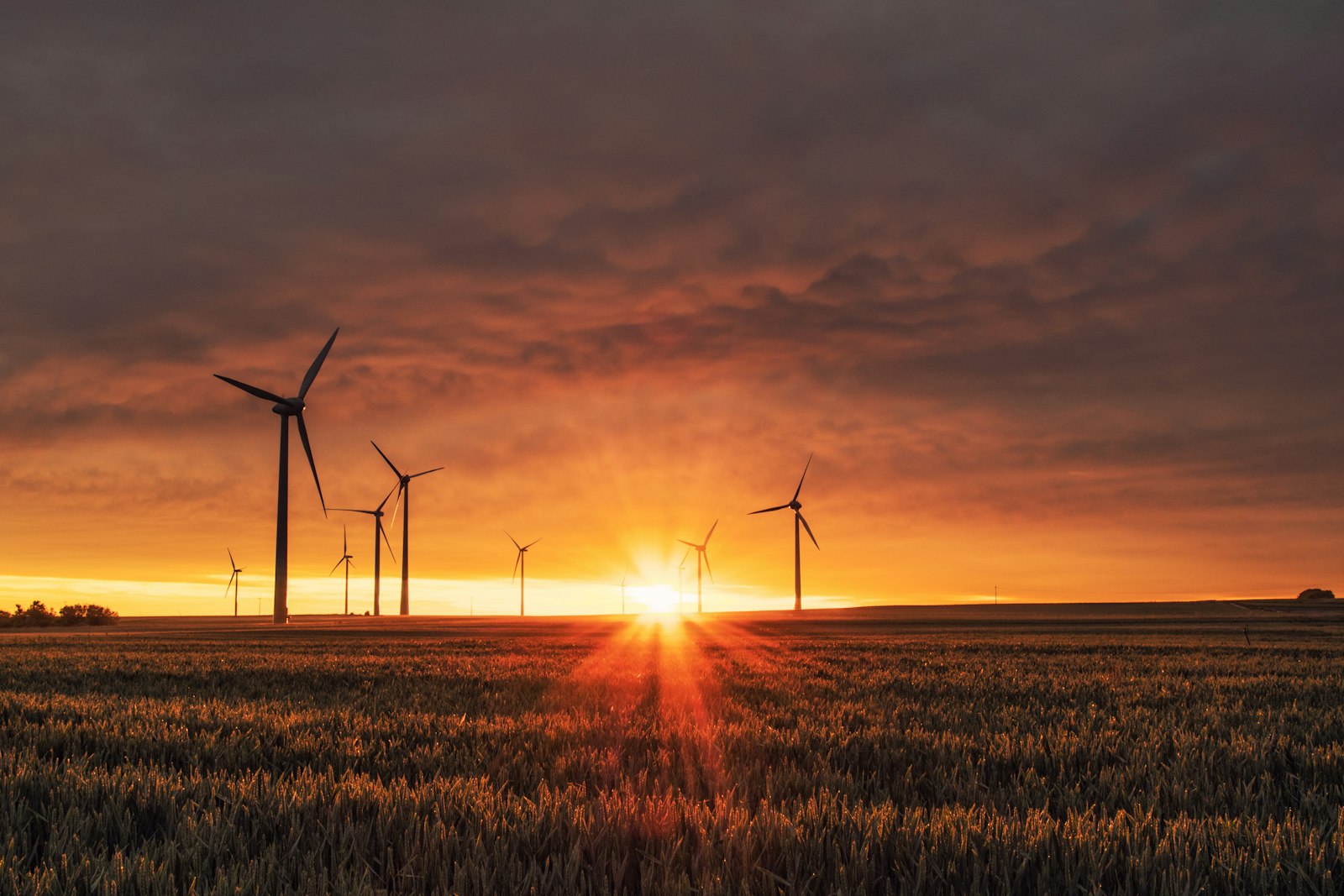 High-voltage power transmission towers at sunset